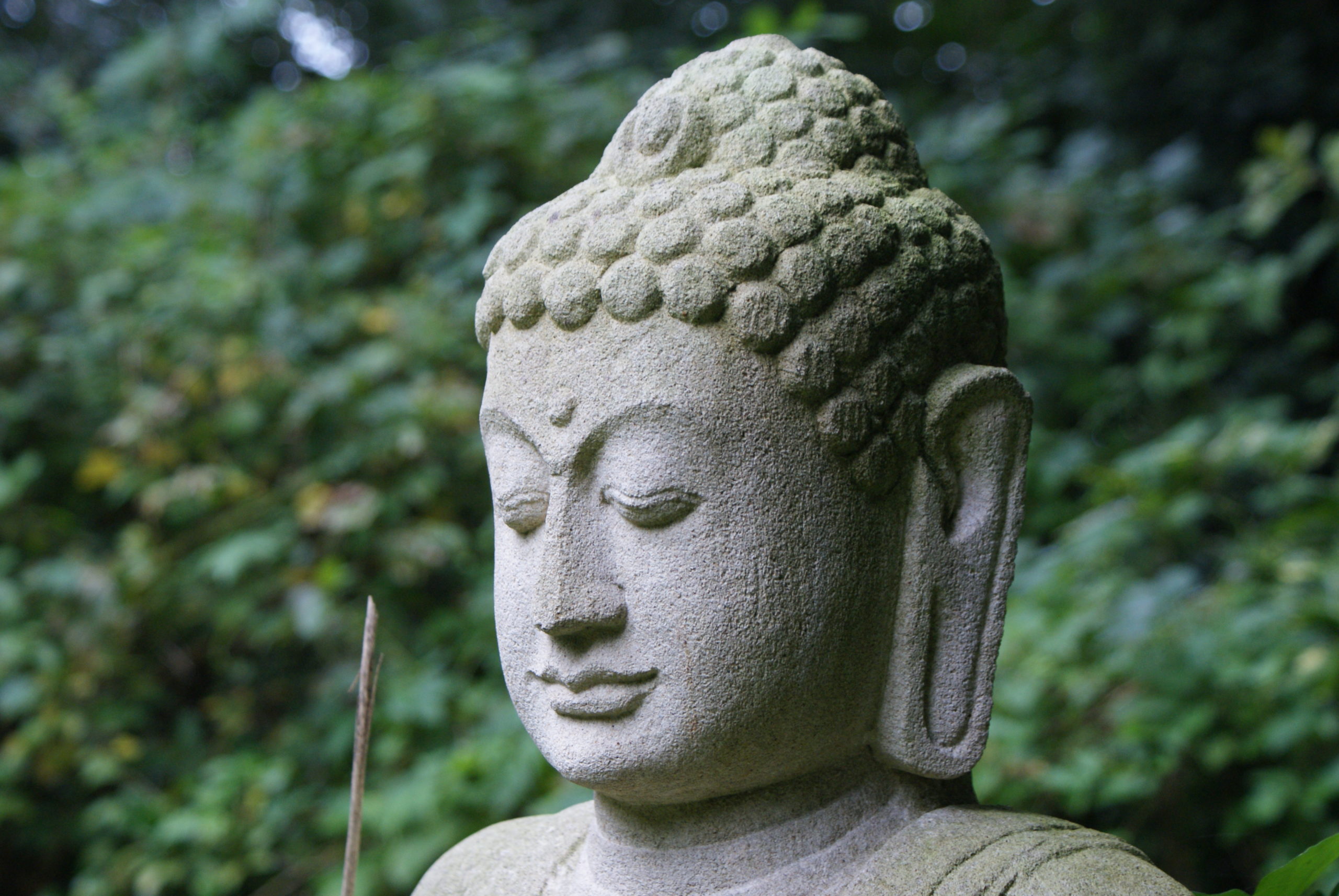 Basis verdiepingsgroep zielsgelukkig training Peter Houtman