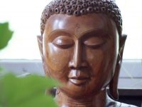Mediteren – ‘Inspiratie door Meditatie’